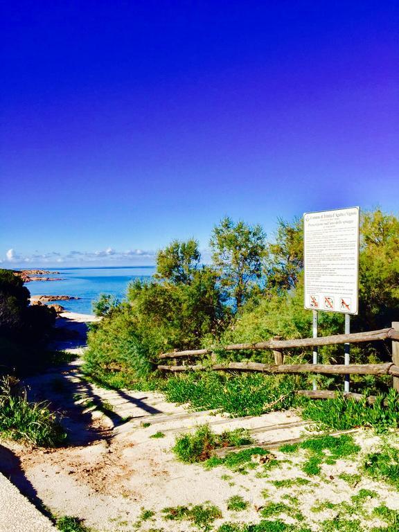 Appartamenti In Villa La Marinedda Isola Rossa Eksteriør bilde